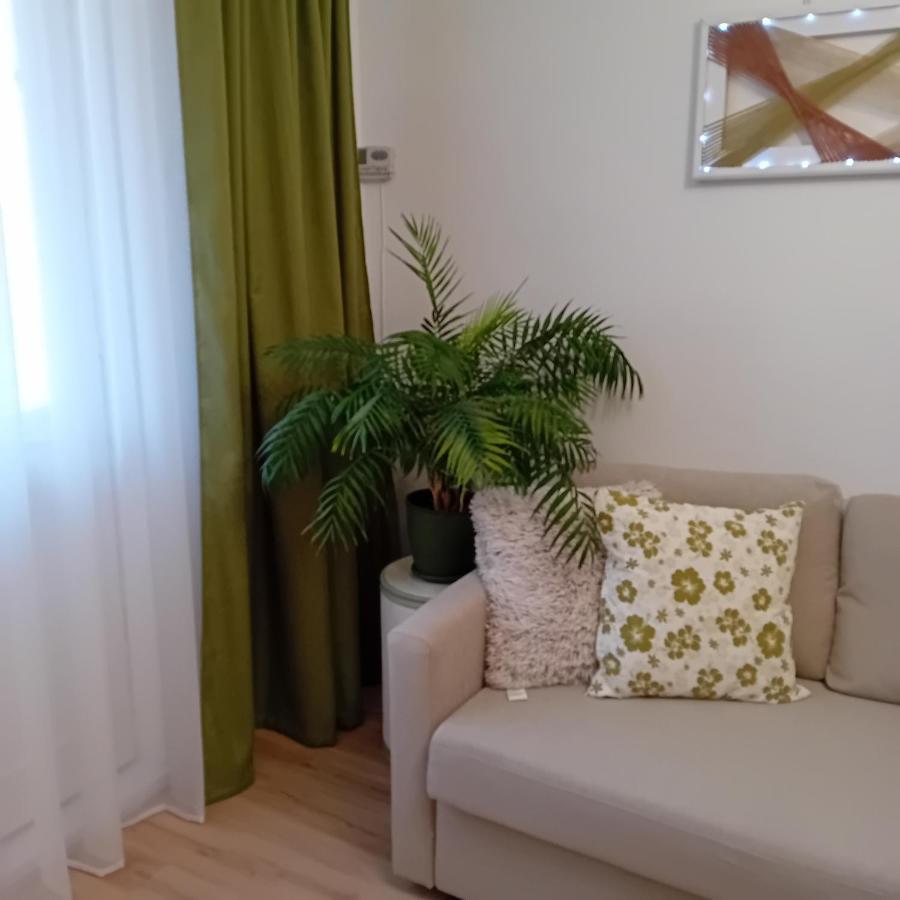 Harmonyhouse Apartamento Braşov Exterior foto