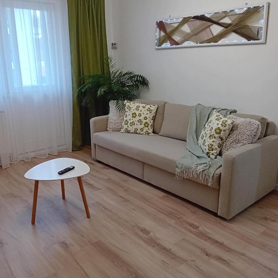 Harmonyhouse Apartamento Braşov Exterior foto